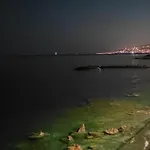 Pama Mar *